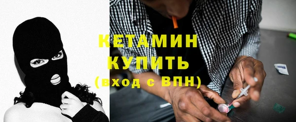 шишки Арсеньев