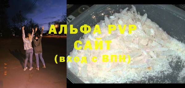 шишки Арсеньев