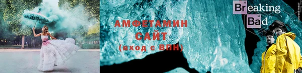 шишки Арсеньев