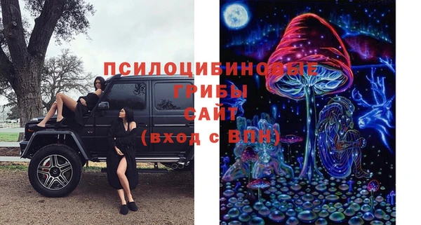 MDMA Premium VHQ Аркадак