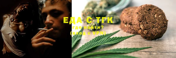 шишки Арсеньев