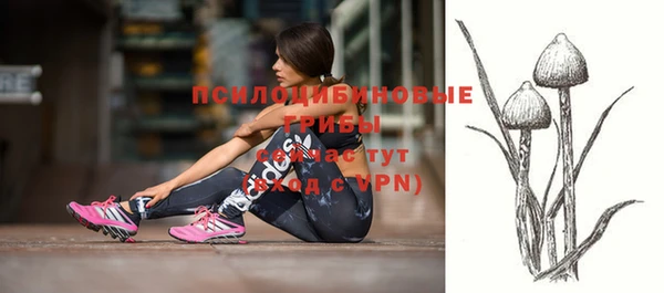 шишки Арсеньев