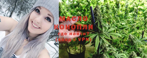 шишки Арсеньев