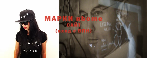 шишки Арсеньев