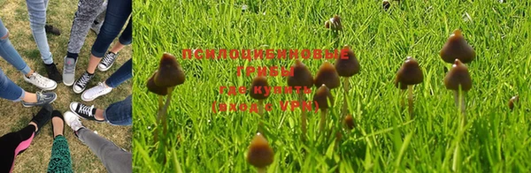 MDMA Premium VHQ Аркадак