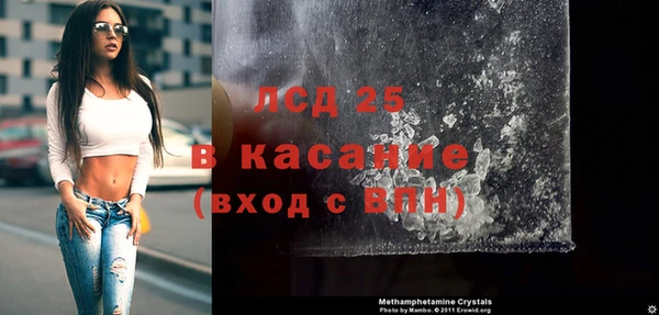 шишки Арсеньев
